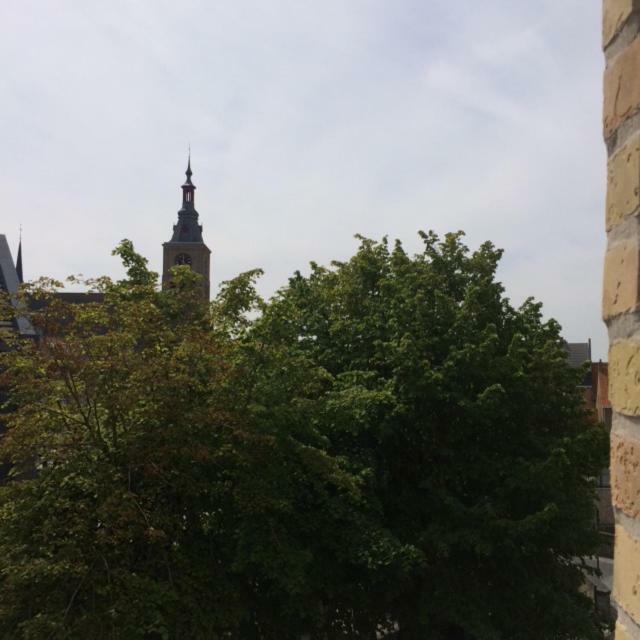 'T Klein Gewin Diksmuide Quarto foto